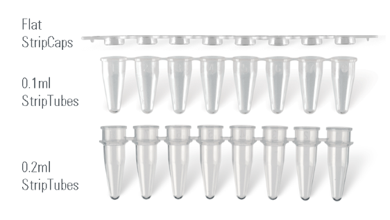 0.2ml PCR 8-TubeStrip with Flat Cap.PNG