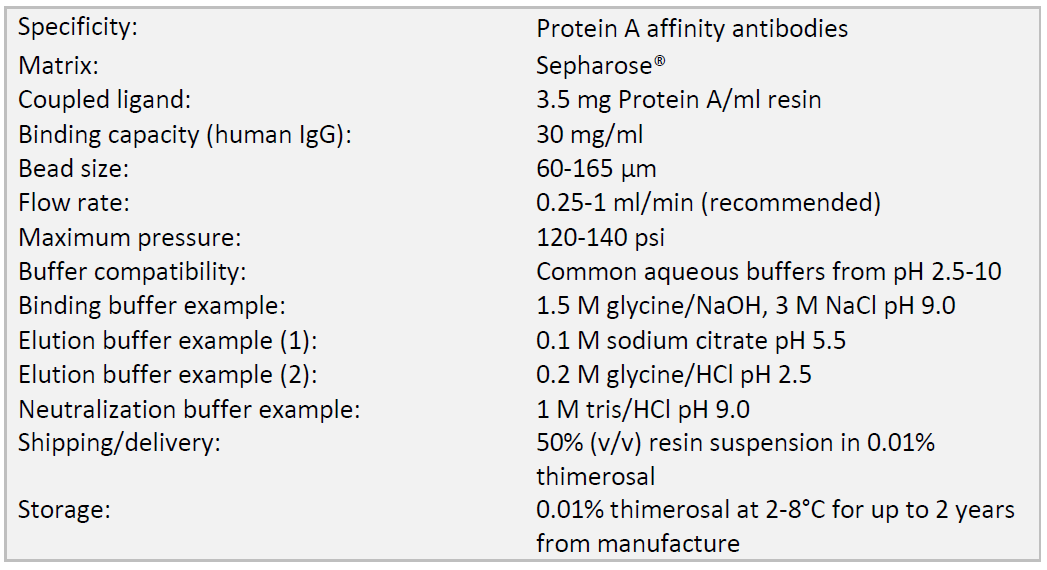 사양_Protein A.PNG