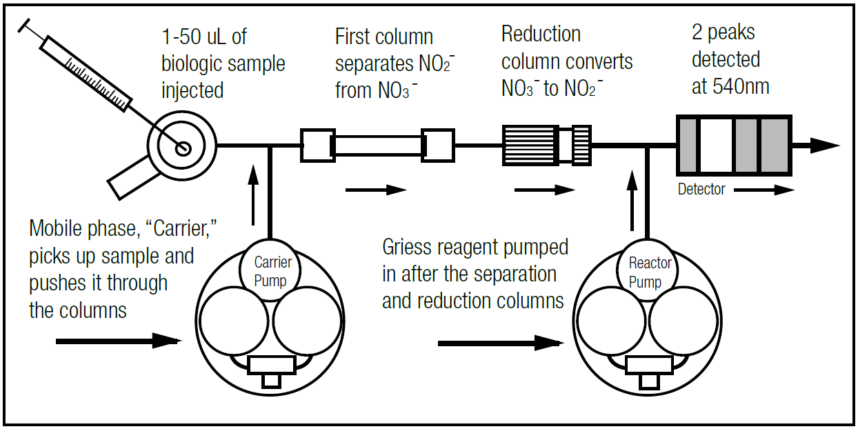 How does it work..PNG