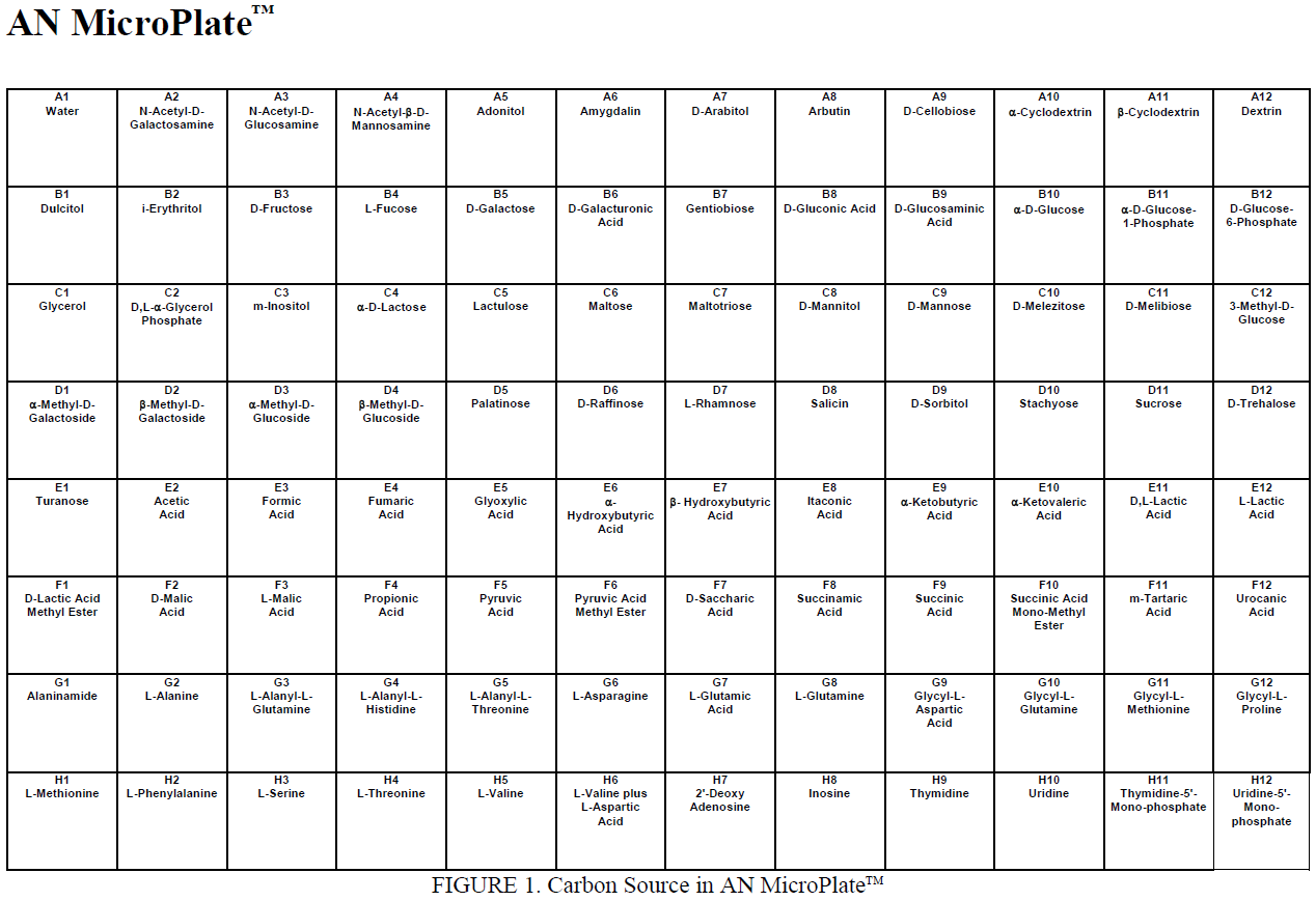 Layout of AN MicroPlate.PNG