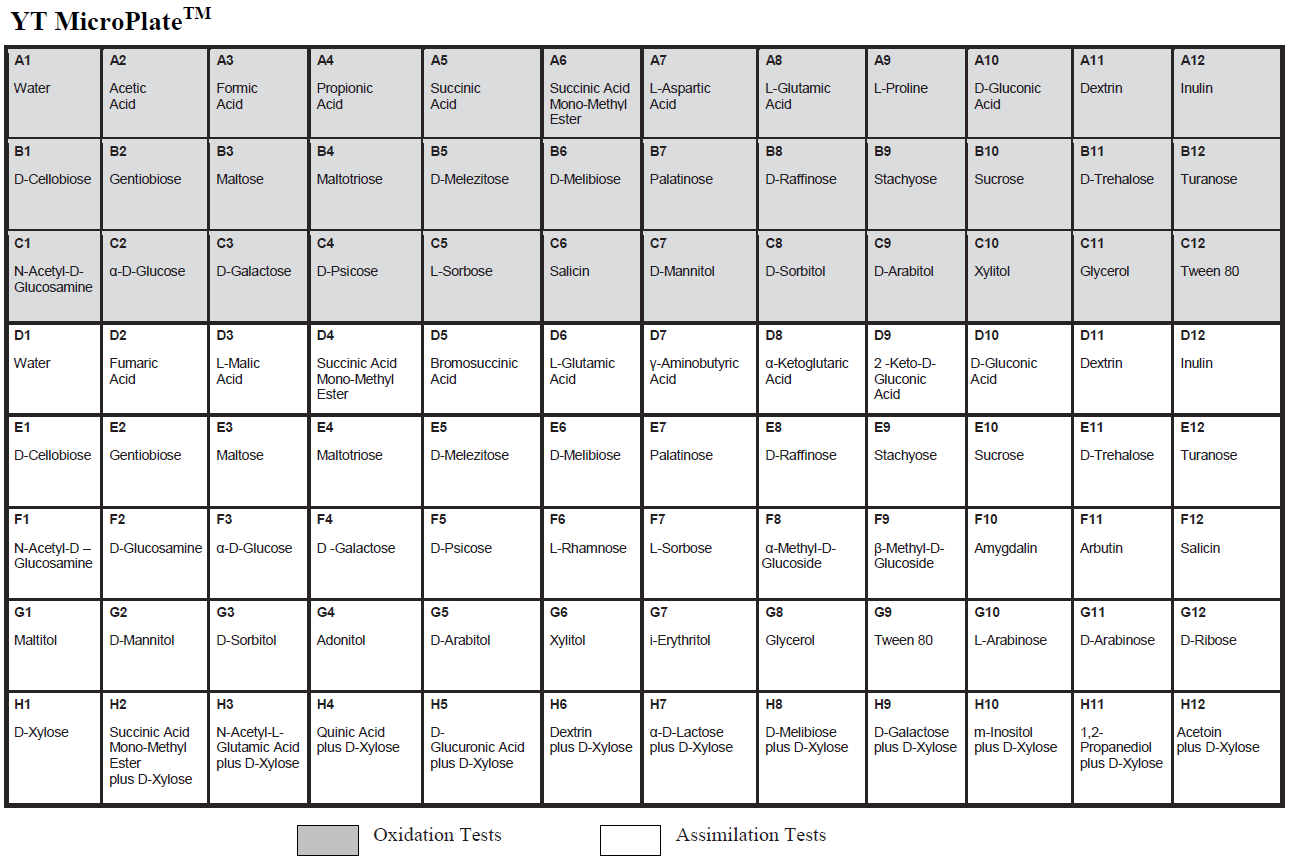 Layout of YT MicroPlate.PNG