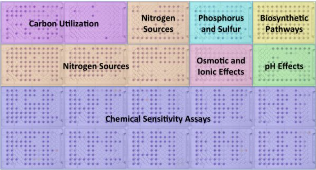 MAP of PM Plates.PNG