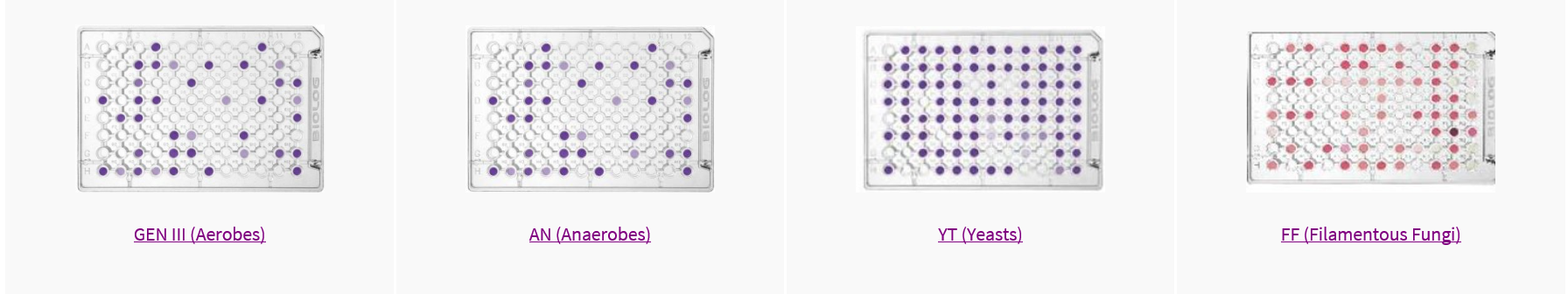 MicroPlates.PNG