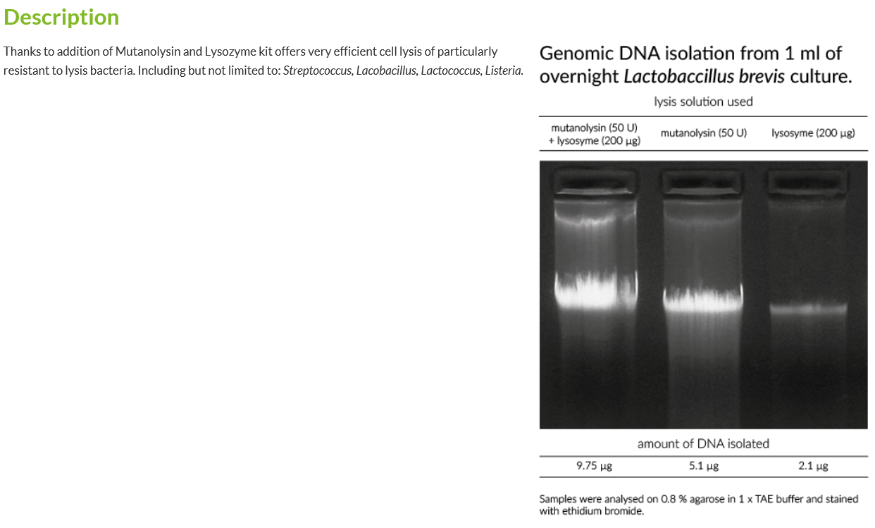 Genomic Mini AX Bacteria+ _소개.PNG