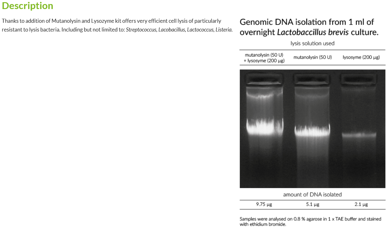 Genomic Mini AX Bacteria+ Spin_소개.PNG
