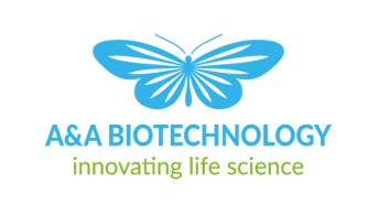 A&A 로고.PNG