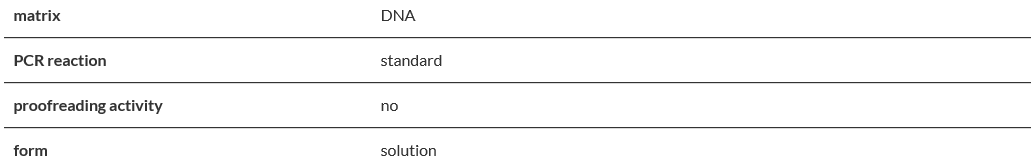 RUN DNA Polymerase.PNG