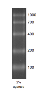 RNA Marker 1 RTU.PNG