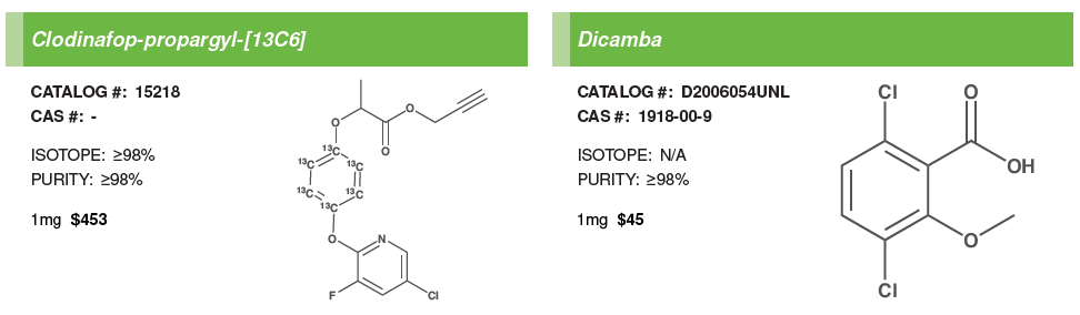 Environmental #2.PNG