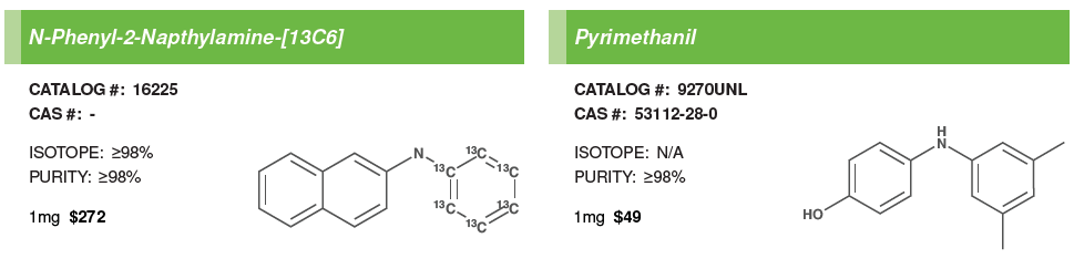 Environmental #4.PNG