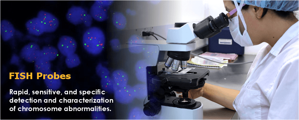 FISH Probes.png