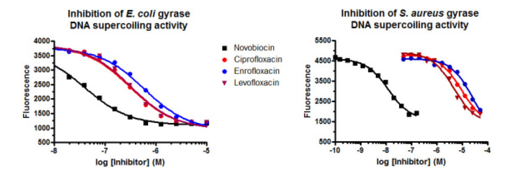 Gyrase DNA supercoiling assays.PNG