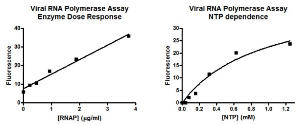 Virus RNA polymerases.PNG