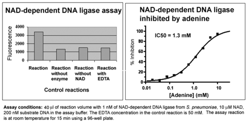 DNA Liagase Assays.PNG