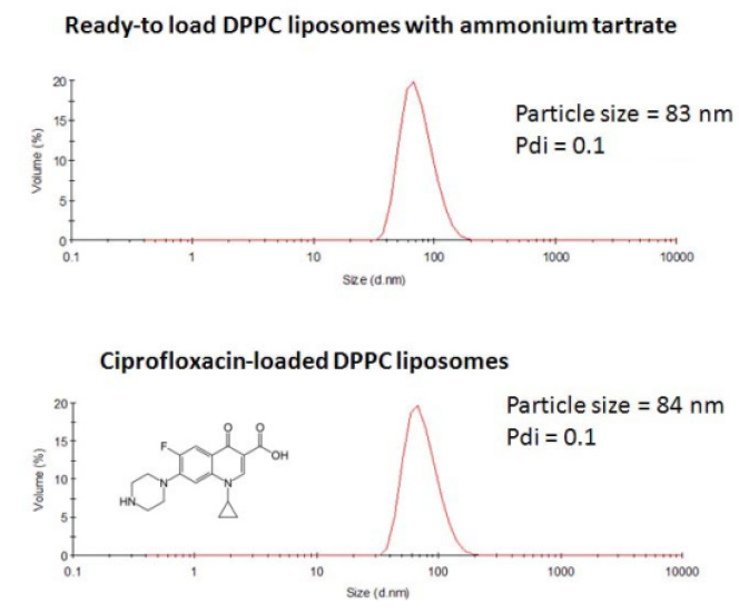 DPPC Liposomes w Ammonium Tartrate.PNG