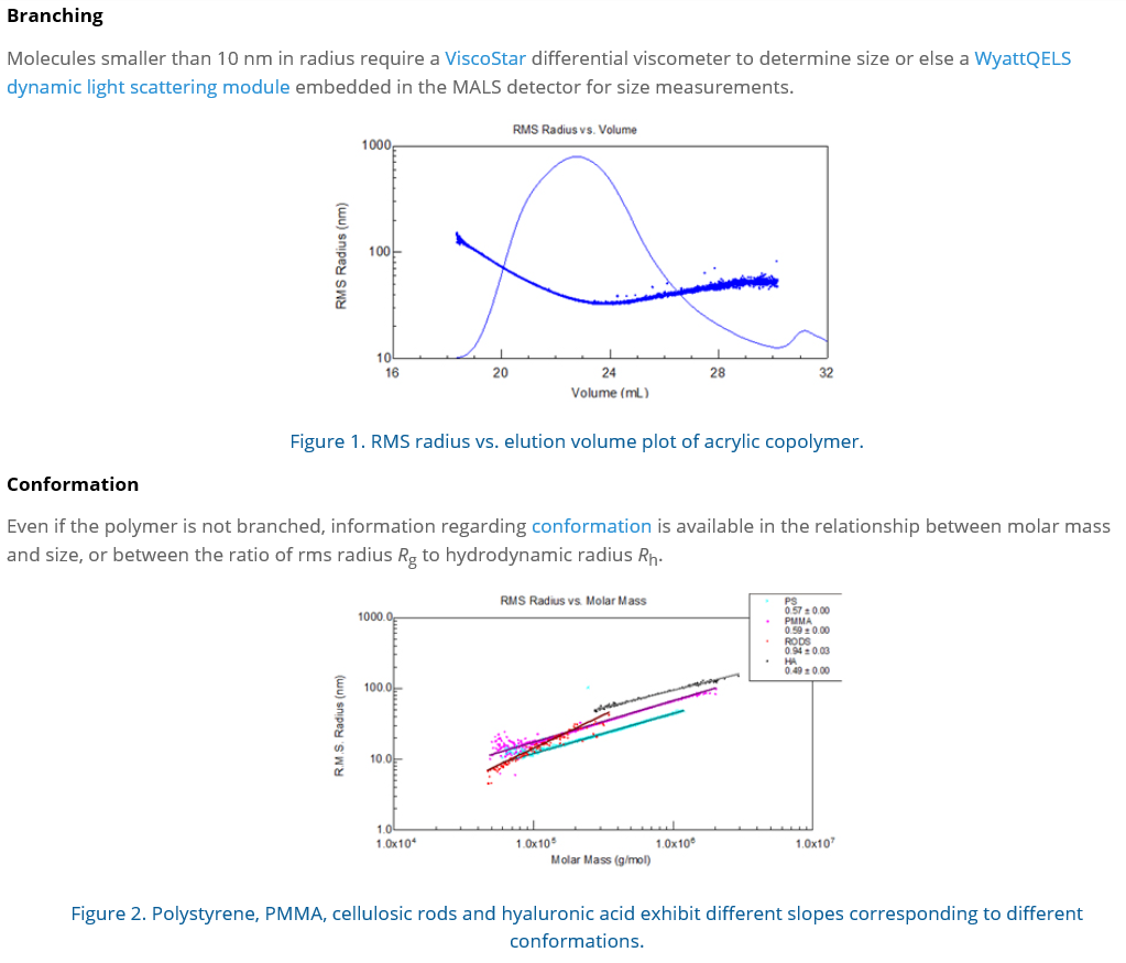 #5 Branching & Conformation.PNG