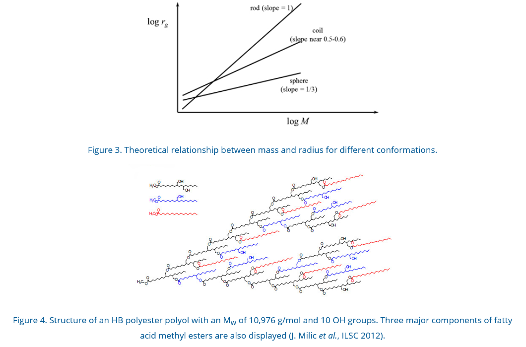 #5 Branching & Conformation_2.PNG