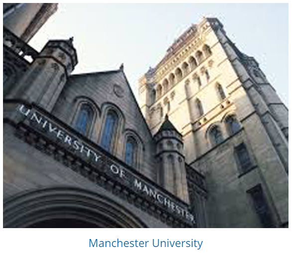 The role of electrostatics in protein-protein interactions of a monoclonal antibody.PNG