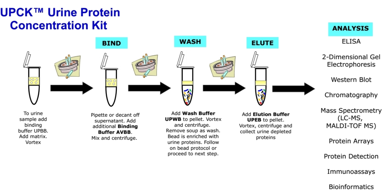 UPCK™ Kit_분석과정PNG.PNG