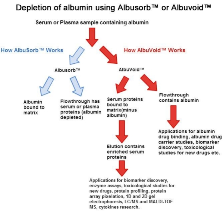 AlbuVoid_프로토콜.PNG