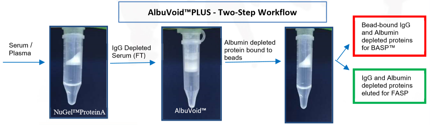 3. AlbuVoid Plus_프로토콜.PNG