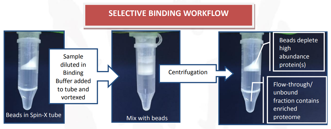 AlbuSorb™ PLUS_프로토콜.PNG