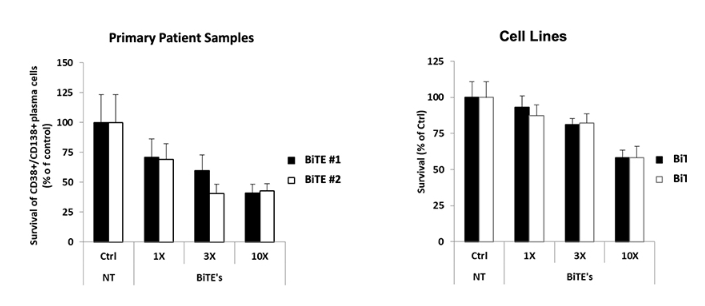 Mouse Peripheral Blood 3D Matrix_#4.PNG