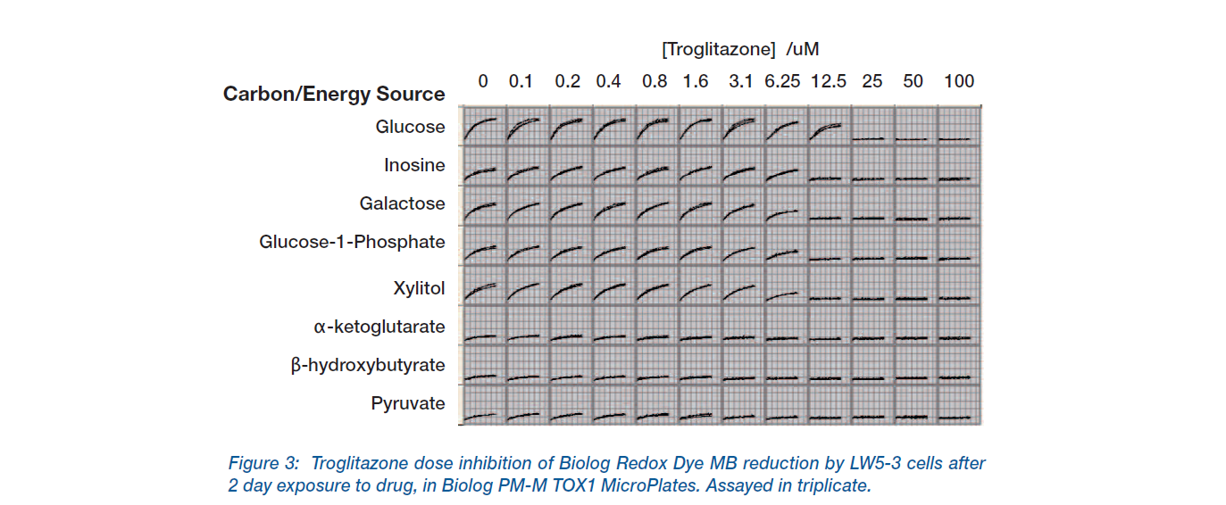 Profiling Drug Toxicity in Liver Cells_4.PNG