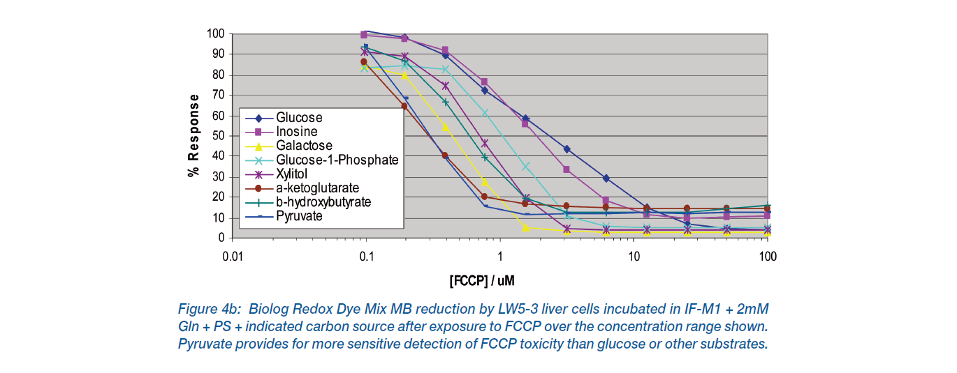 Profiling Drug Toxicity in Liver Cells_6.PNG
