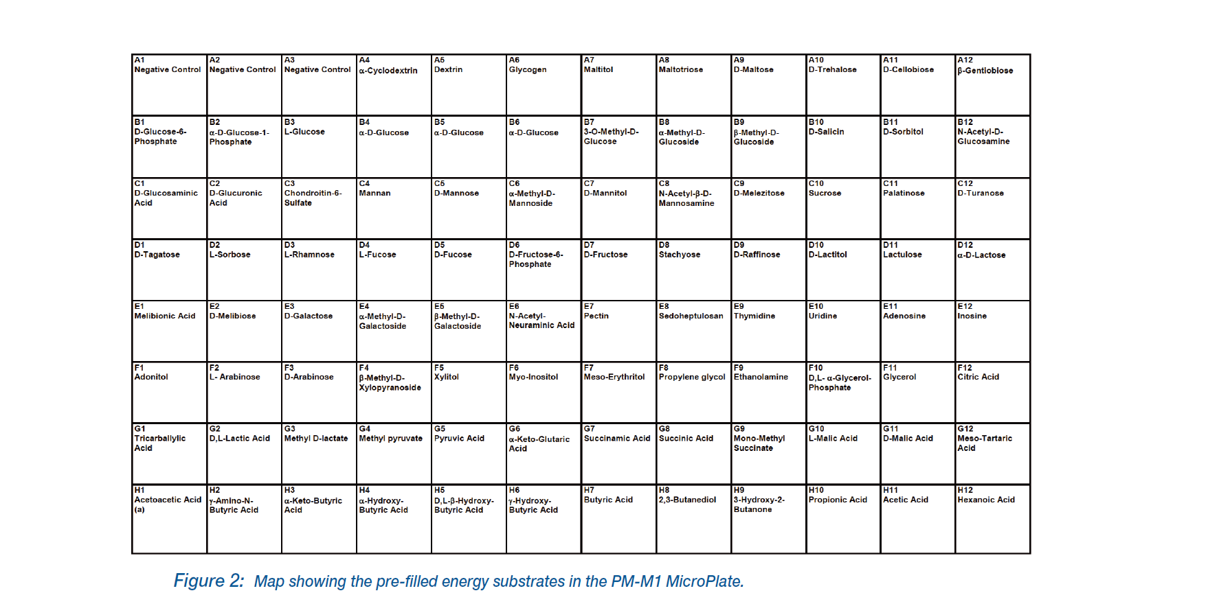 Cell Line Quality Control and Authentication_4.PNG