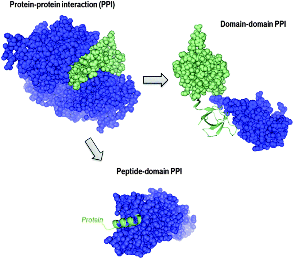 Biomolecular-Interaction-Analysis-Services-Fig-1.png