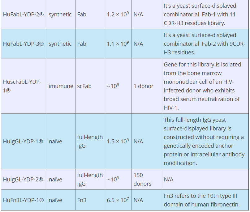 Premade Human Antibody Library for Yeast Display_2.PNG
