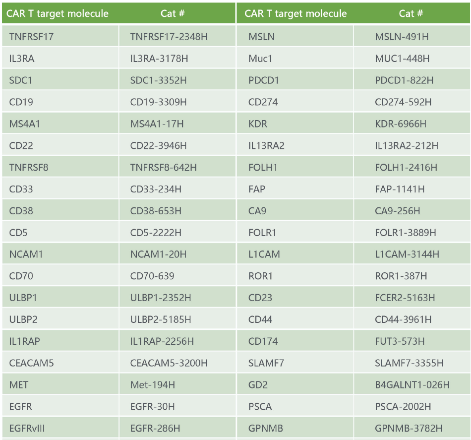 Targets of CAR T Cell_3.PNG