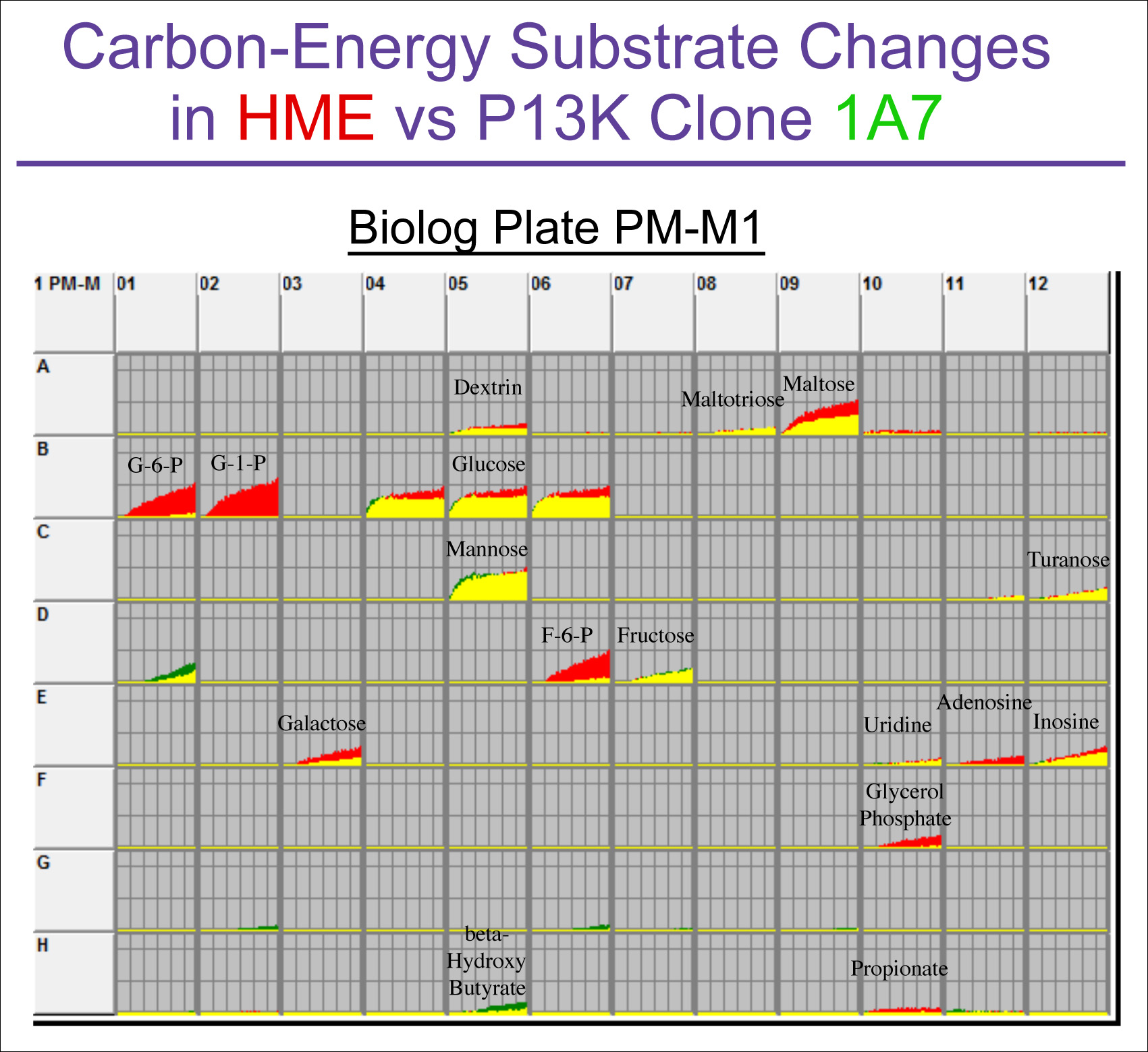 cancer_cell_metabilism_figure3.jpg