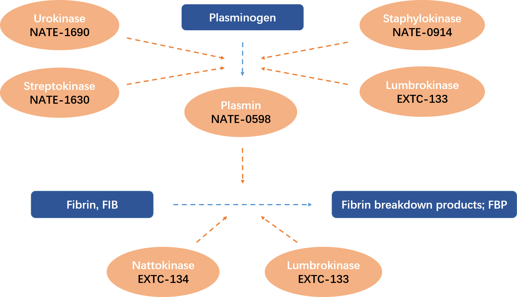 Enzymes-for-Oncology-and-thrombus-treatment-new.png