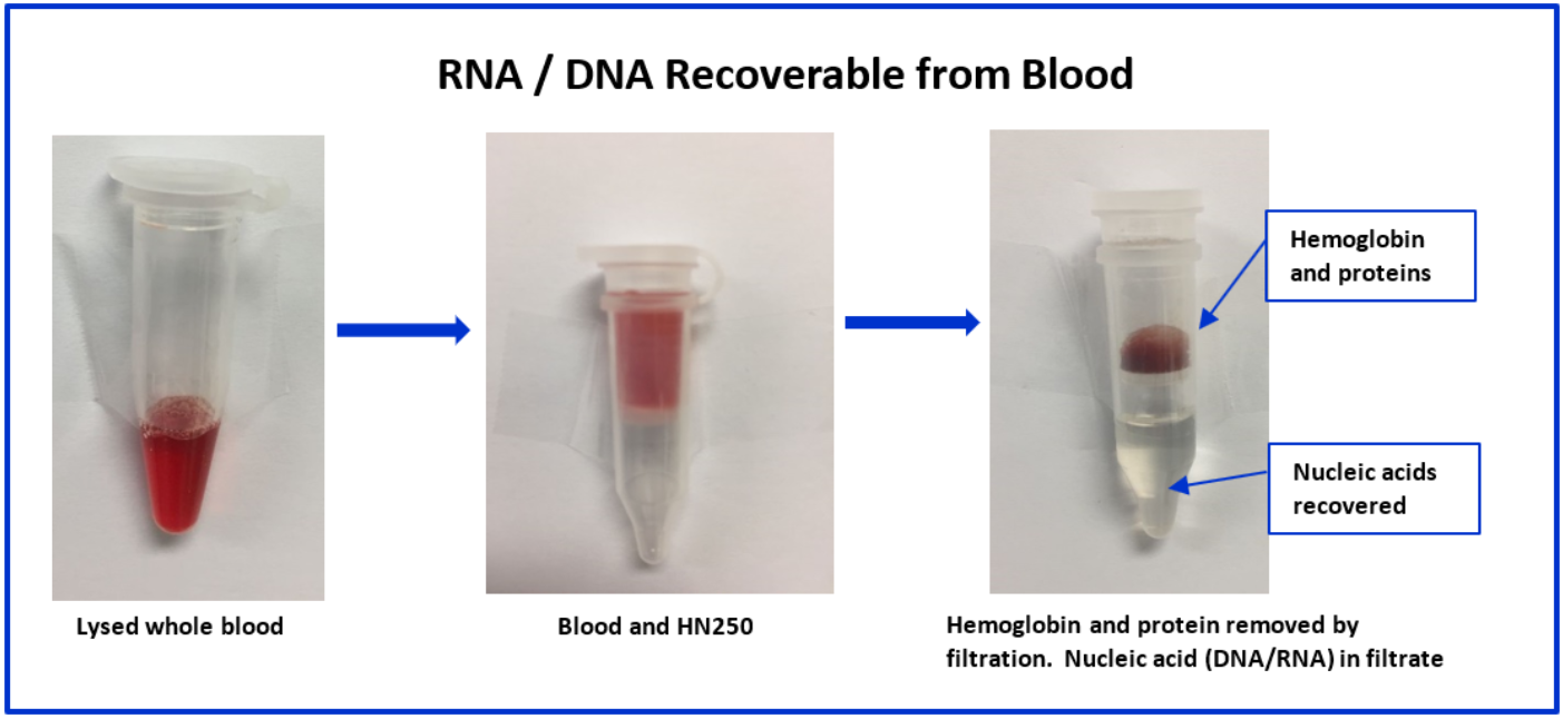 HemogloBind™ Nucleic Acid_소개1.PNG
