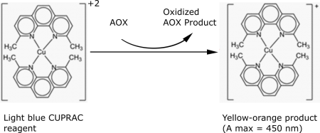 CUPRAC-reaction-450x187.png