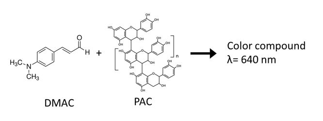 PAC-method-reaction.jpg