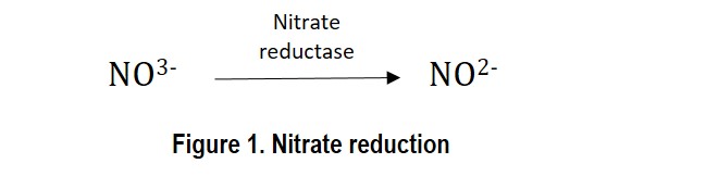 nitrato-reducatsa.jpg
