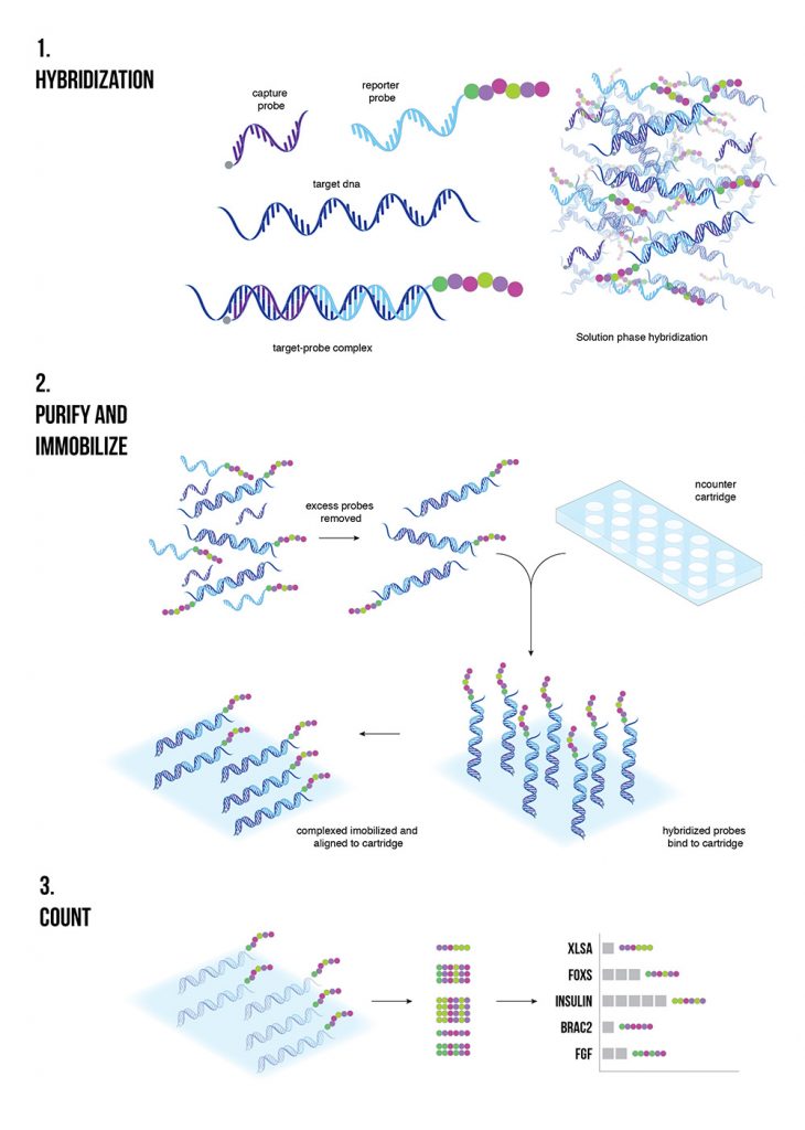 nanostring-diagram-730x1024.jpg