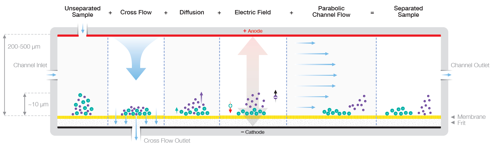 EAF4-separation-sequence.jpg