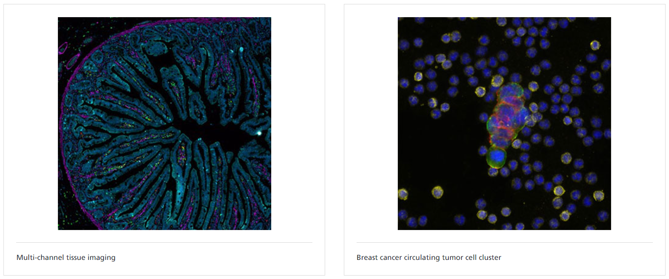 CyteFinder® Instrument_App #2.PNG