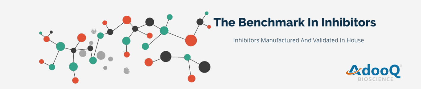 제목 없는 디자인.png