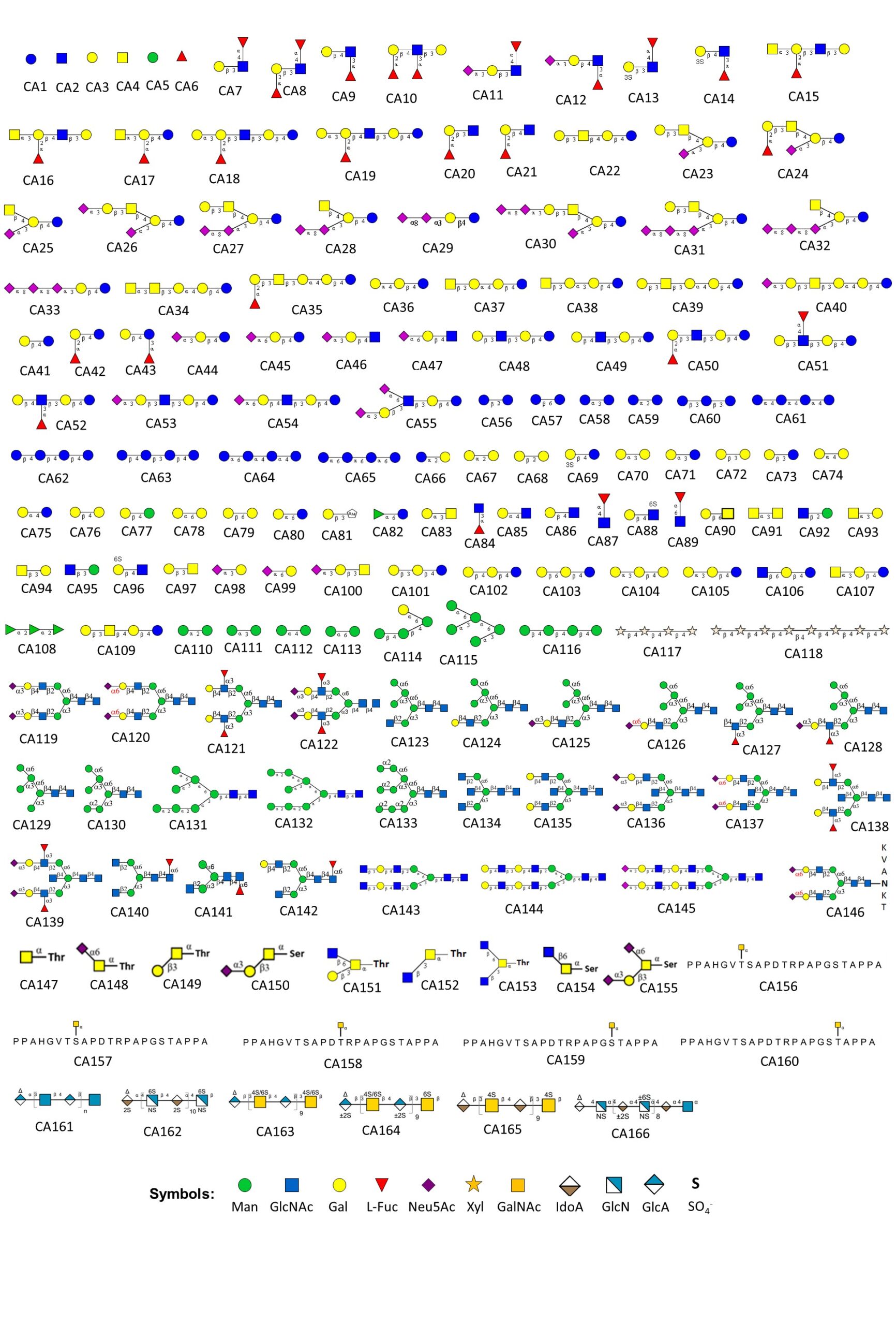 CatchAll-Glycan-Array-Structures-scaled.jpg