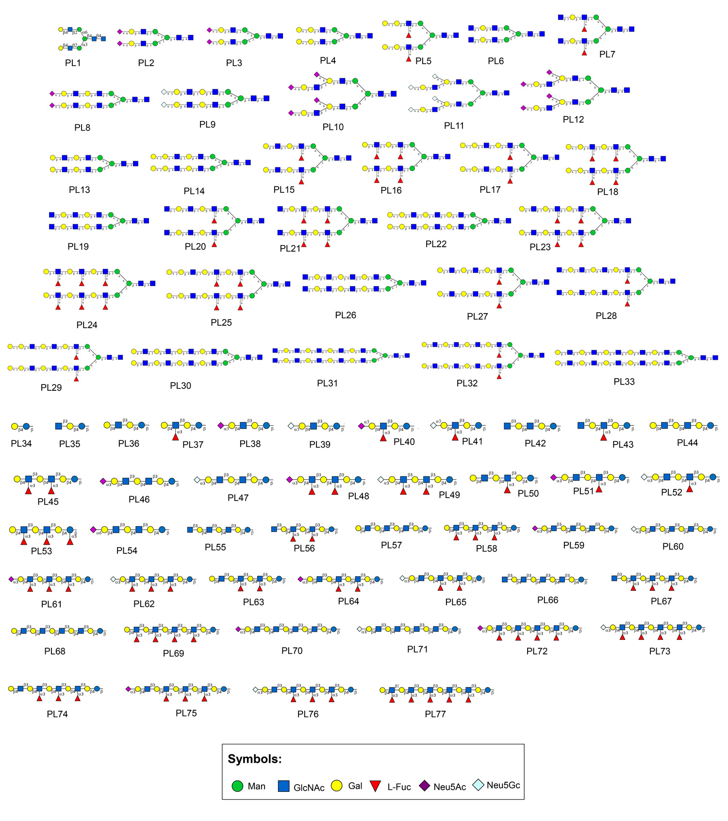 Poly-LacNAc-Glycan-Array-SNFG-Structures-1.jpg