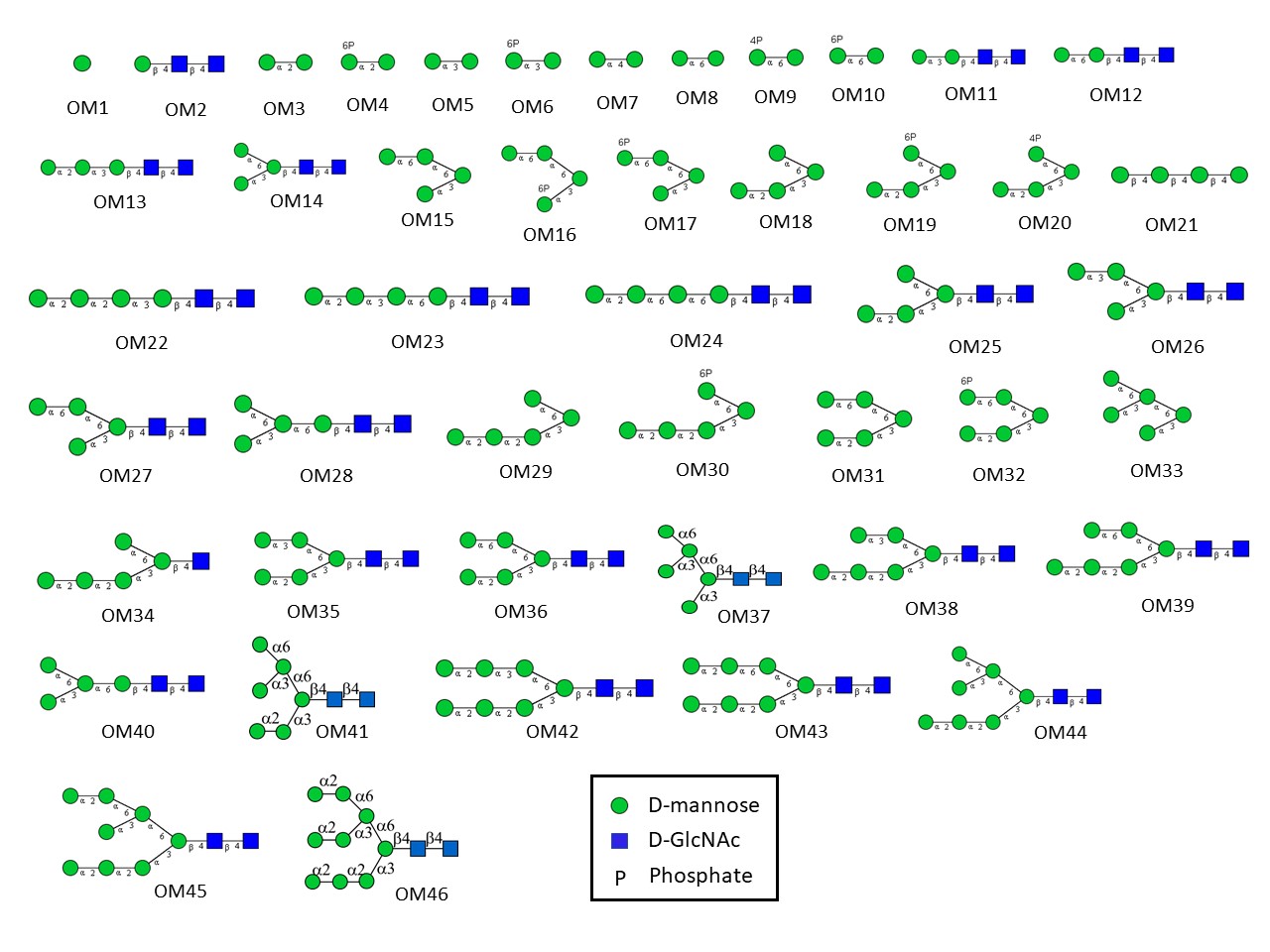 Oligomannose-Array-SNFG-Structures.jpg