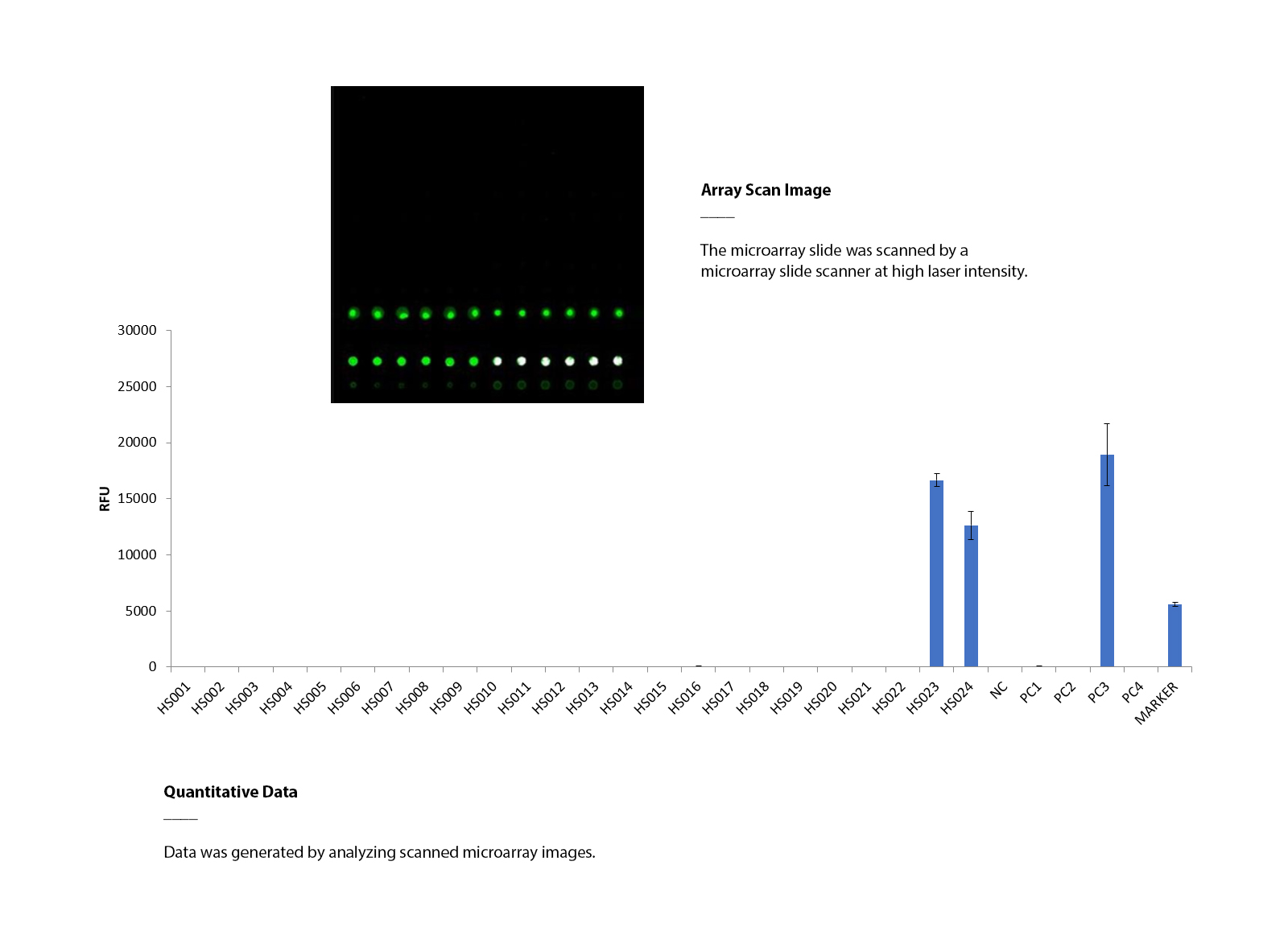 Heparan Sulfate Glycan Array.jpg