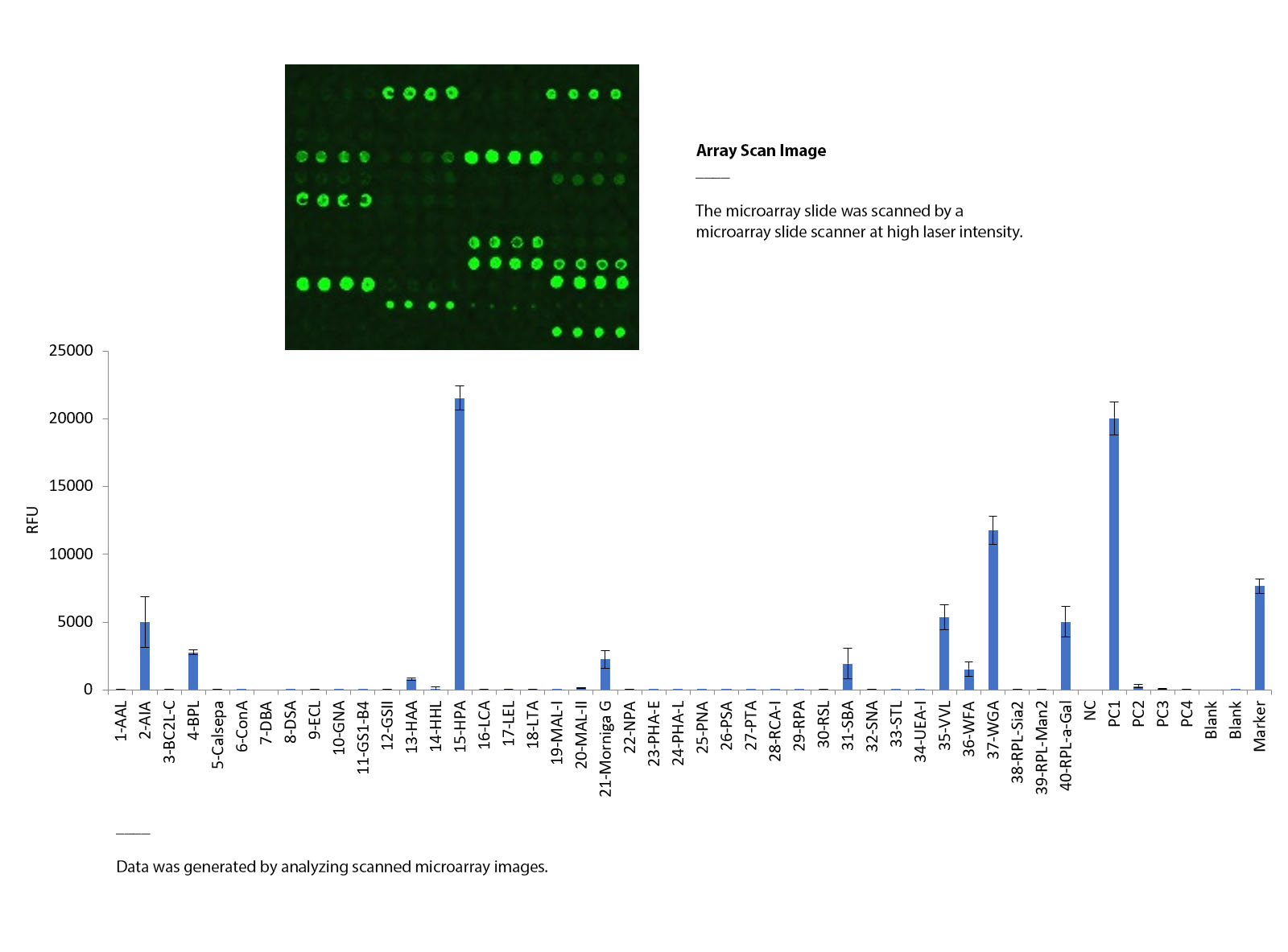 Lectin Microarray.jpg
