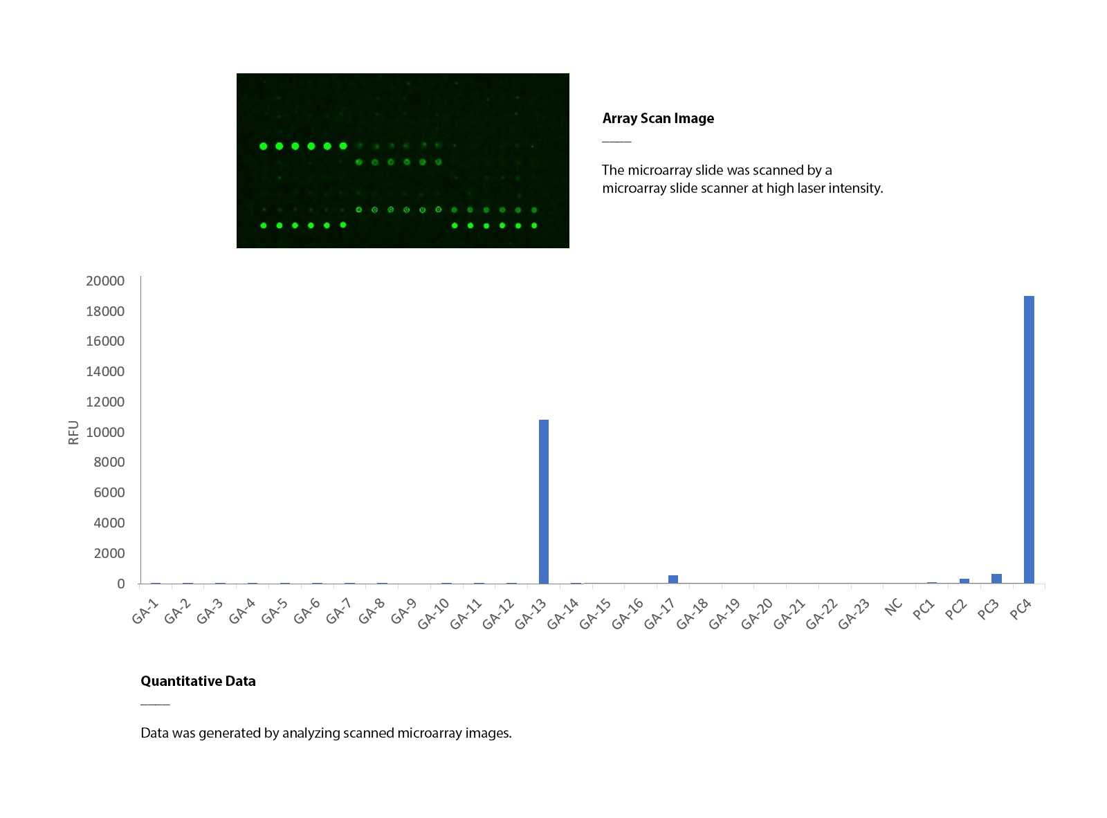 GlycoAntibiotic Array.jpg