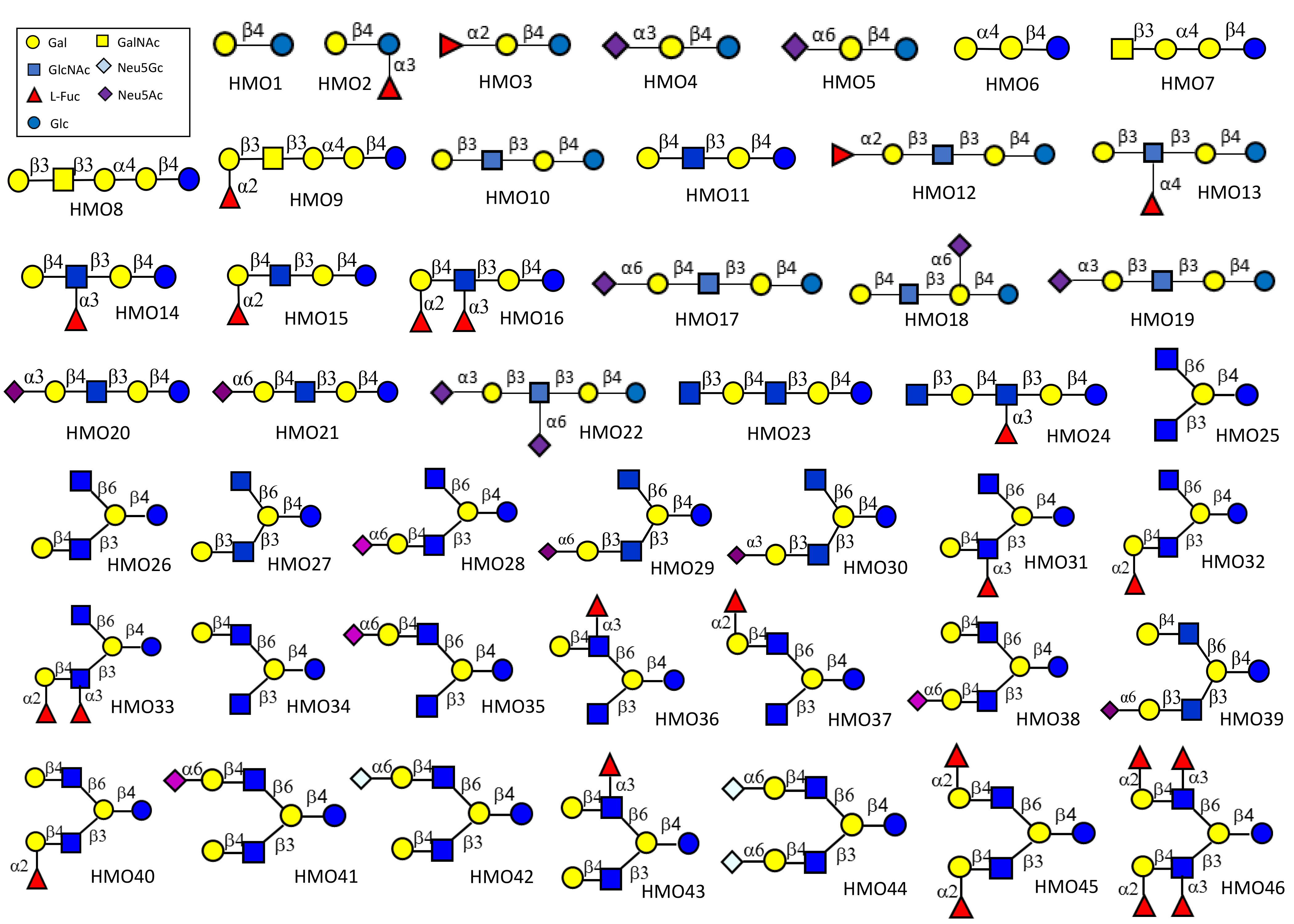 List-of-HMO-Structures.jpg